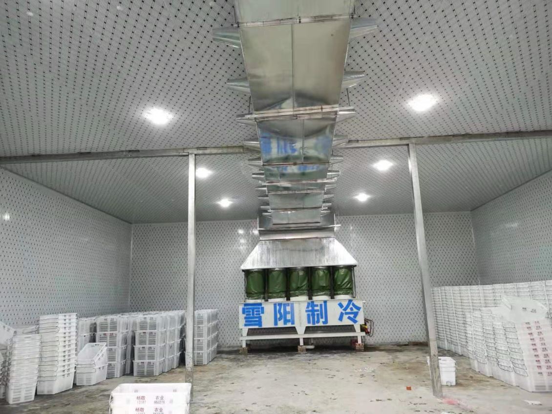 楚雄蔬菜冷庫能帶來哪些經(jīng)濟(jì)效益